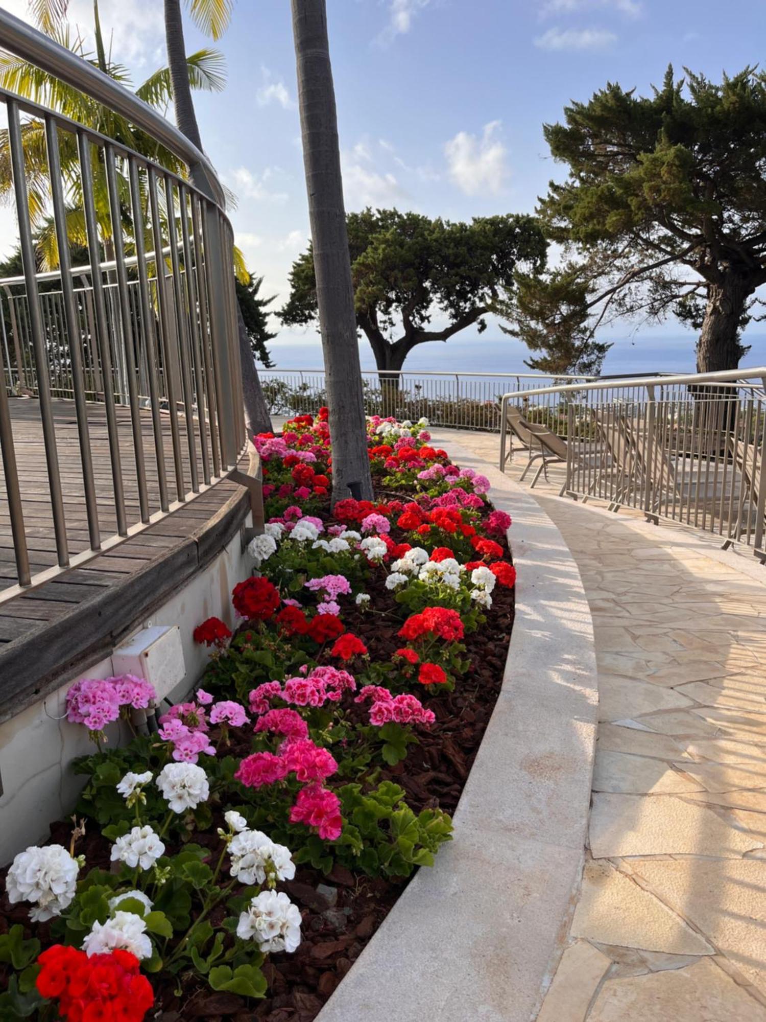 Quinta Funchal Gardens - Adults Only Hotel Екстериор снимка